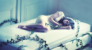 自动攻击网站工具下载